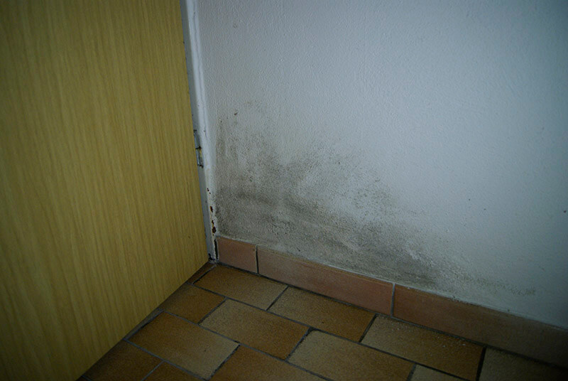 Schimmel am Eingang einer Wohnung