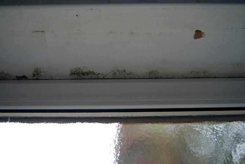 Schimmel am Fenster
