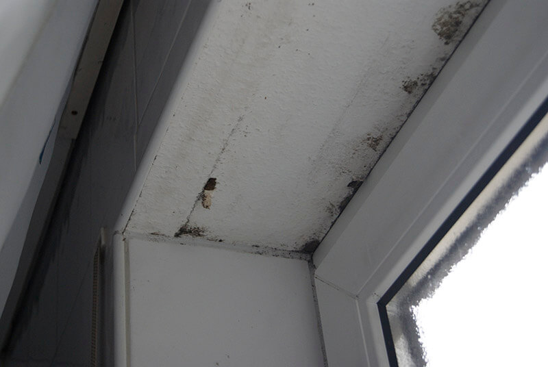 Schimmel am Fenster beim Kunden