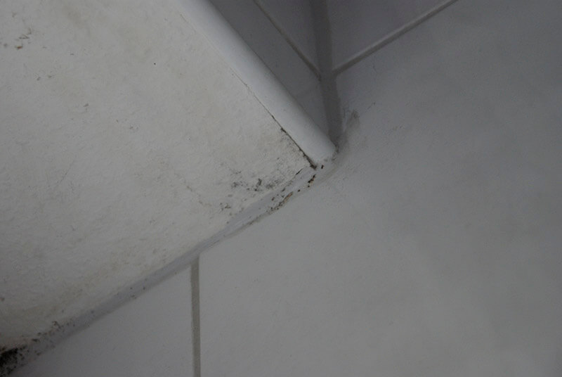 Kunde hat Schimmel im Bad