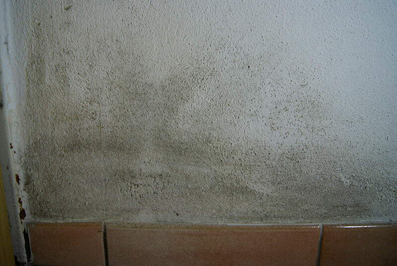 Schimmel im Flur an der Wand